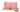 GUCCI Wild Rose Textured Dollar Calfskin Mini Diana Chain Crossbody Bag