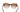 LOUIS VUITTON Brown Glitter Peony Acetate Sunglasses