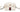 GUCCI Mystic White Textured Dollar Calfskin Web Mini Ophidia Shoulder Bag