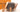 LOUIS VUITTON Monogram Tambourin NM Crossbody Bag