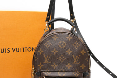 LOUIS VUITTON Palm Springs Mini Backpack