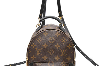 LOUIS VUITTON Palm Springs Mini Backpack