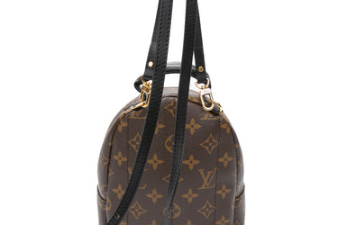 LOUIS VUITTON Palm Springs Mini Backpack