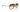 DITA Mach Two Titanium Yellow Gold Sunglasses (New)