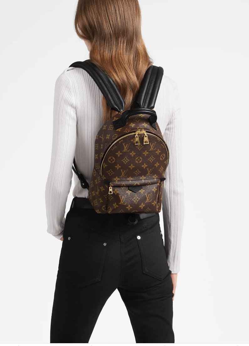 LOUIS VUITTON Palm Springs PM Backpack bag M41560｜Product Code