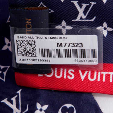 Louis Vuitton All That Straps bandeau  (Brand New)