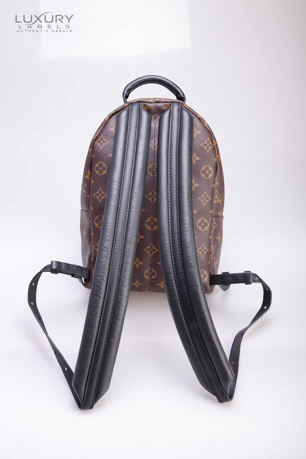 Louis Vuitton Palm Springs PM backpack